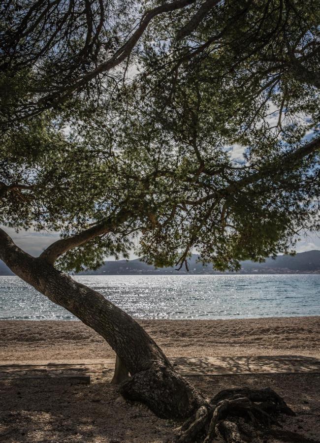 Apartmani Dina Biograd Na Moru Exterior foto