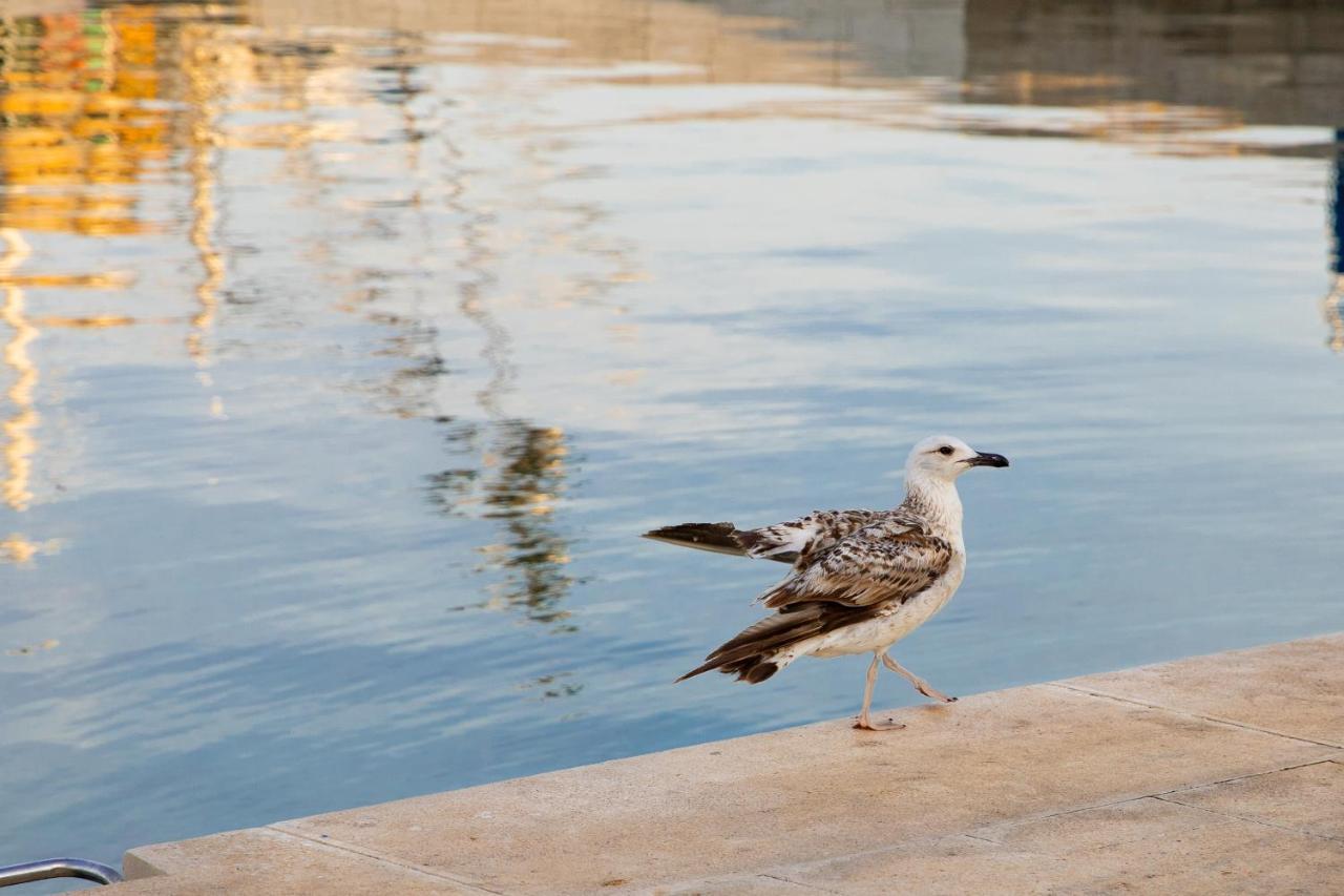 Apartmani Dina Biograd Na Moru Exterior foto