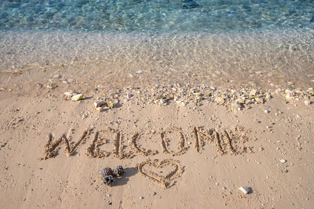 Apartmani Dina Biograd Na Moru Exterior foto